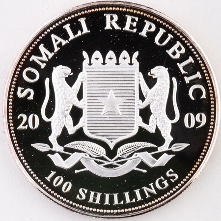 Somalia 100 szylingów 2009 - Słoń Afrykański