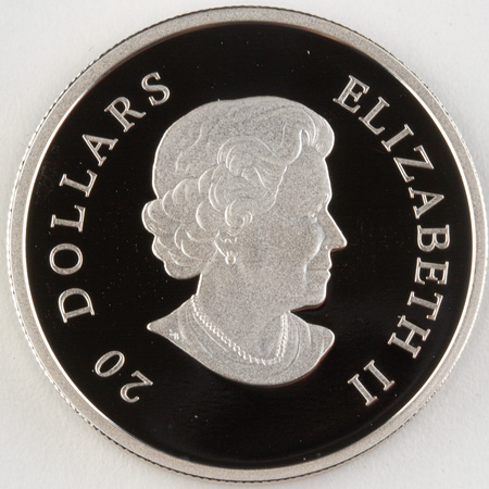 Kanada 20 dolarów 2010 - Śnieżynka - niebieskie kryształki
