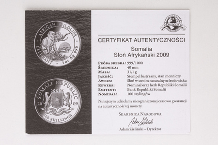 Somalia 100 szylingów 2009 - Słoń Afrykański