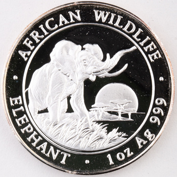 Somalia 100 szylingów 2009 - Słoń Afrykański