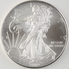 USA 1 dollar 2009 - Amerykański Srebrny Orzeł